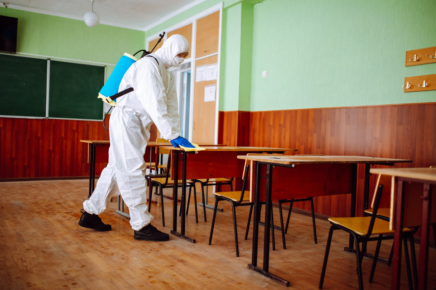 desinfeccion y anti plagas madrid en colegios
