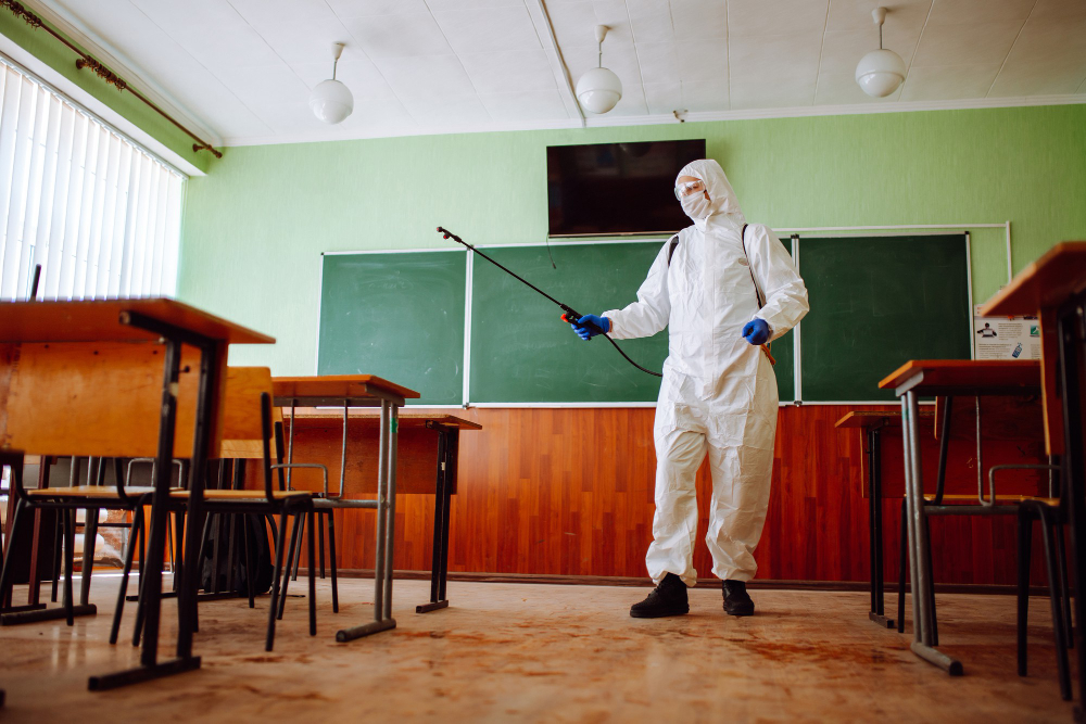 mantenimientos anti plagas madrid colegios