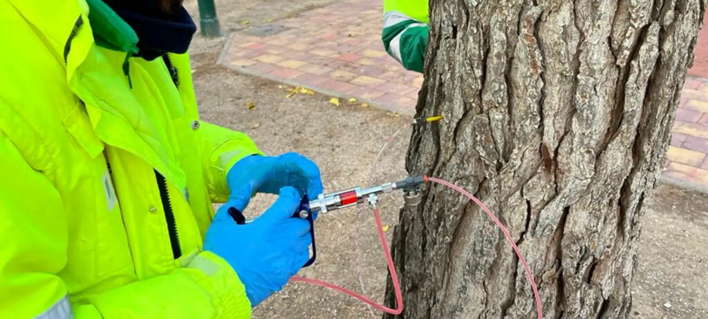 tratamiento contra procesionaria Madrid