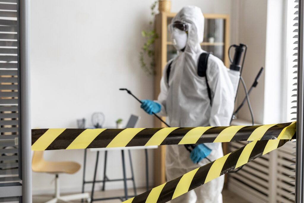 Desinsectacion en Arroyomolinos