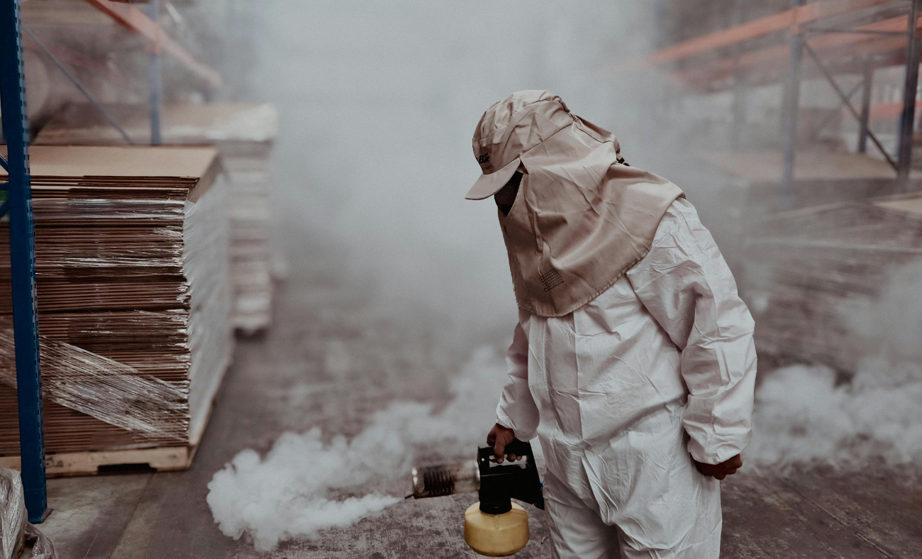 Fumigaciones en Madrid